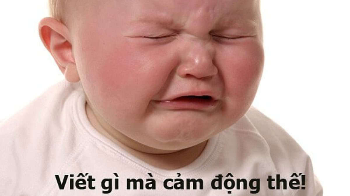 Ảnh avatar hài chế độc lạ 3