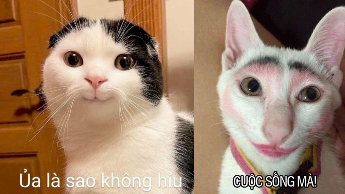Ảnh avatar hài chế độc lạ 5