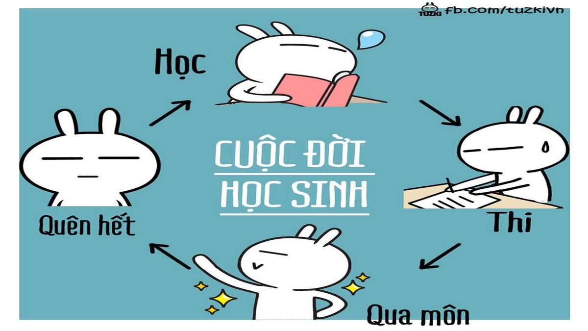 Avatar hài hước mùa thi