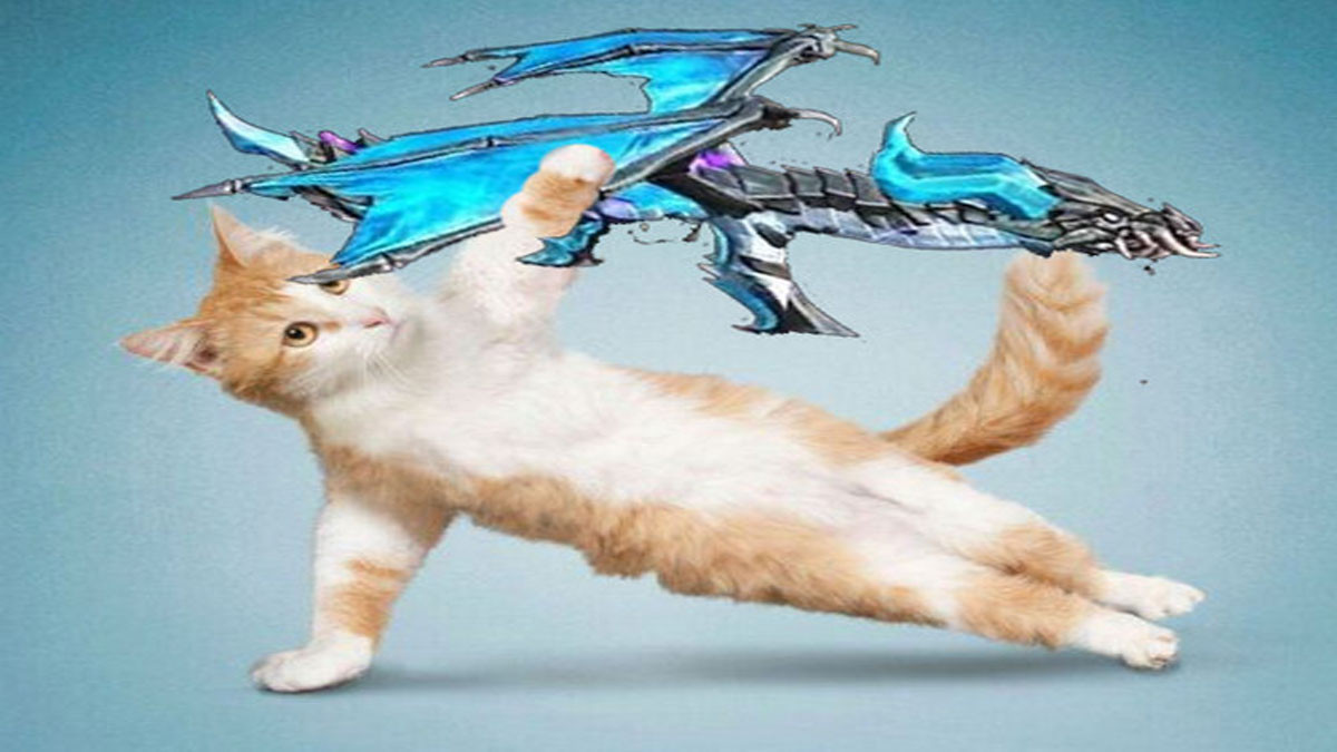 Avatar mèo cầm súng cười ngộ nghĩnh