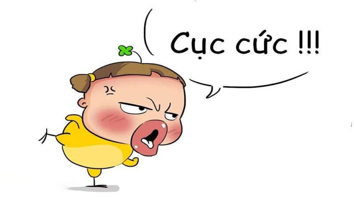 Bộ Sưu Tập Avatar Lầy Bựa