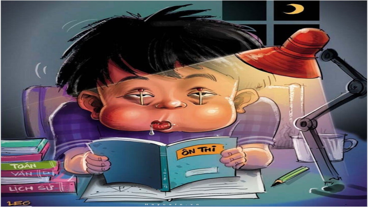 Bộ Sưu Tập Avatar Lầy Bựa