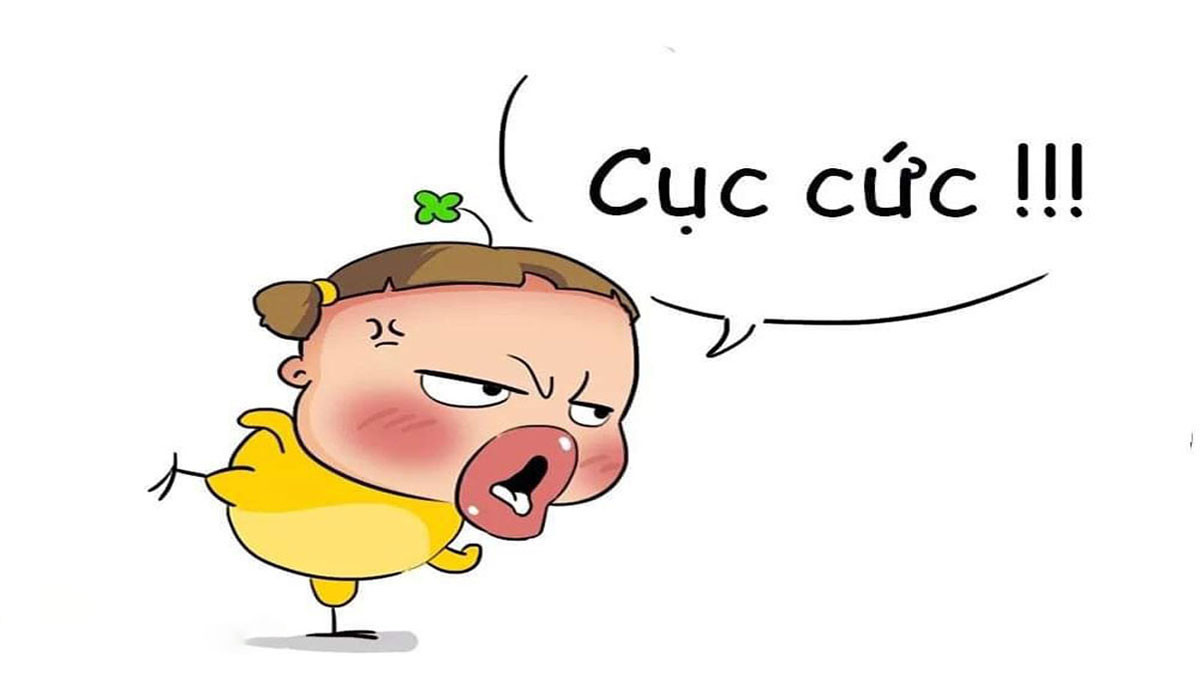 Bộ sưu tập hình ảnh đại diện bựa 3