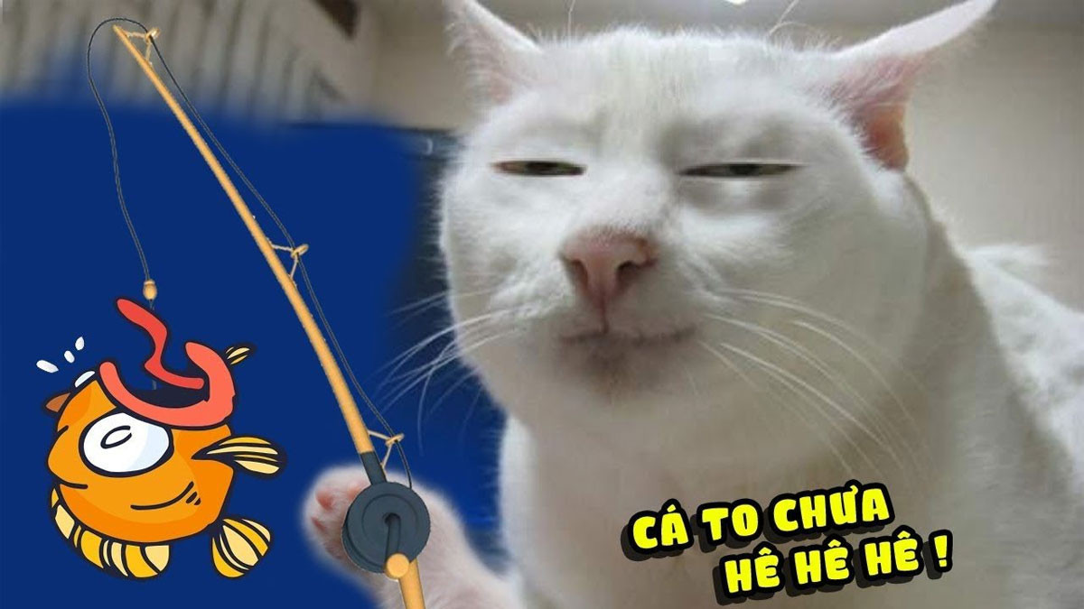 Bộ sưu tập hình ảnh đại diện bựa 6