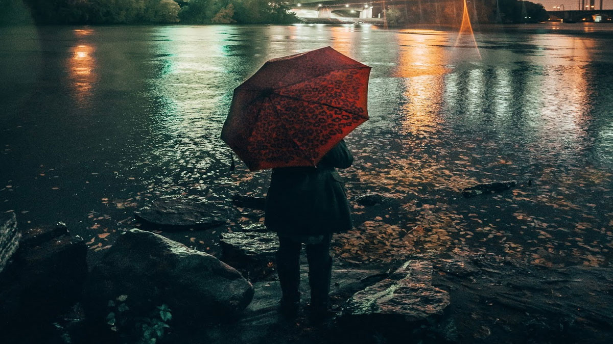 Bức tranh của đêm
