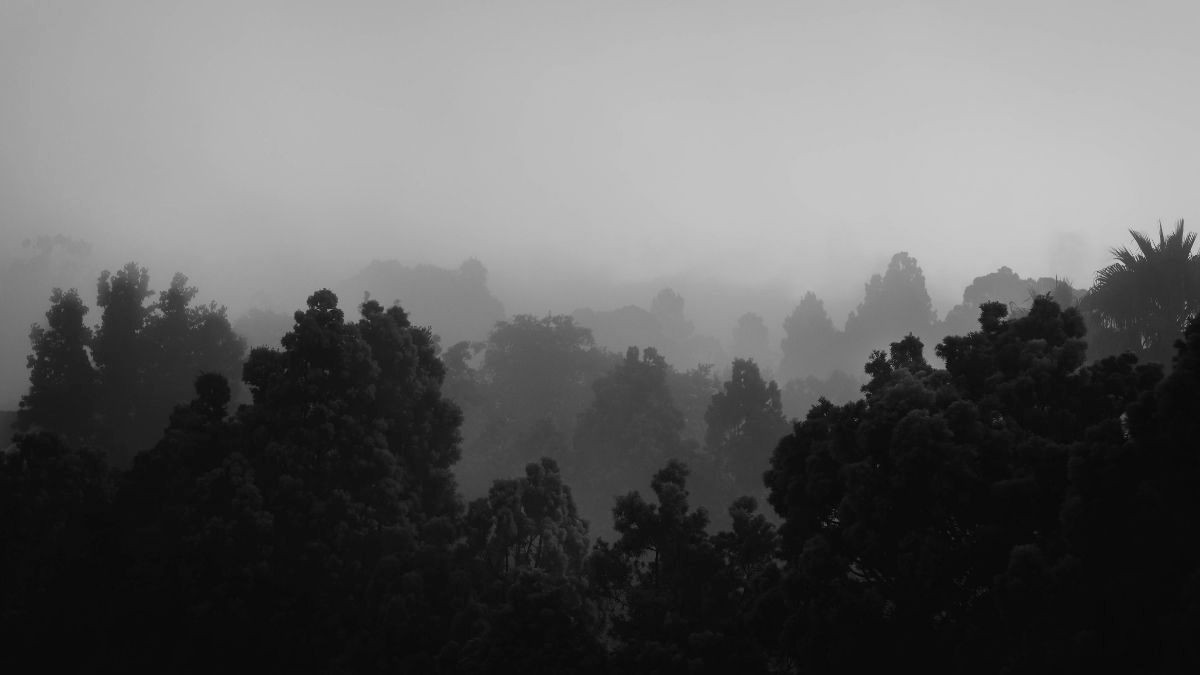 Cảnh đen trắng hoài cổ