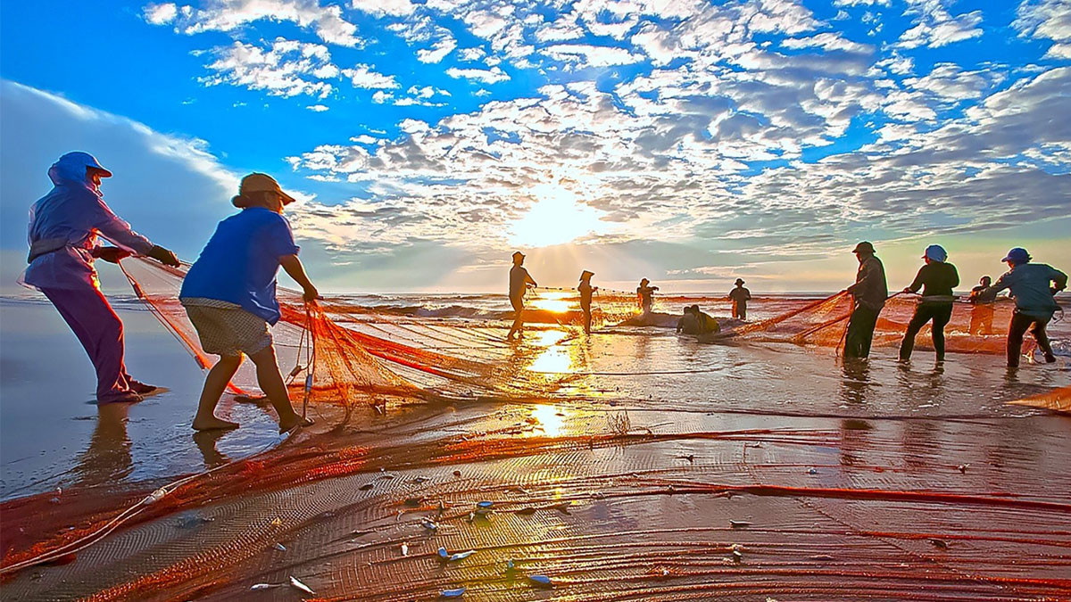 Cảnh kéo lưới bình minh đầy màu sắc