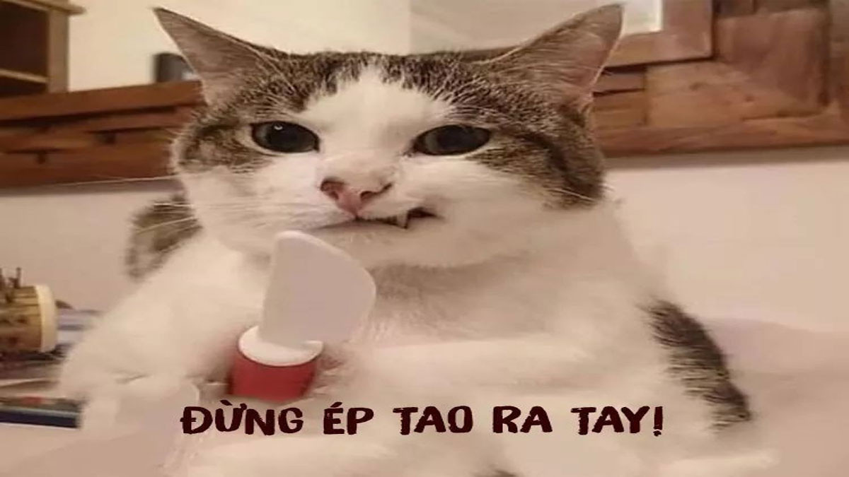 Chọn lọc 50+ avatar cute bựa siêu đáng yêu