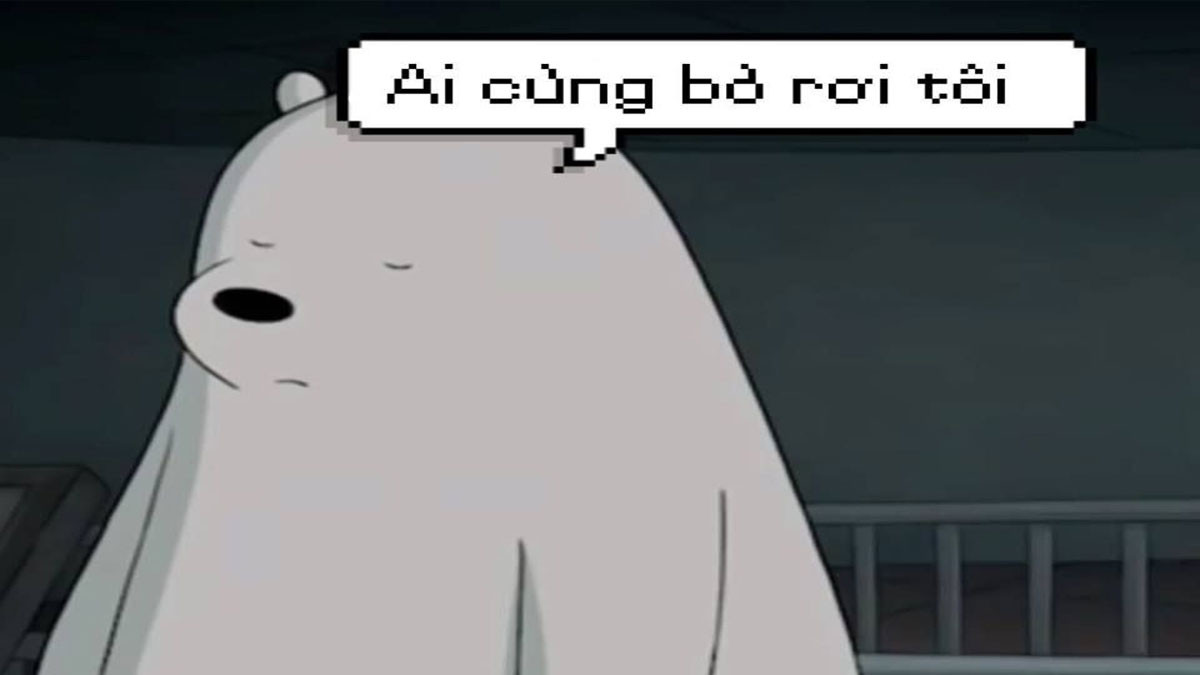 Gấu trắng buồn 1
