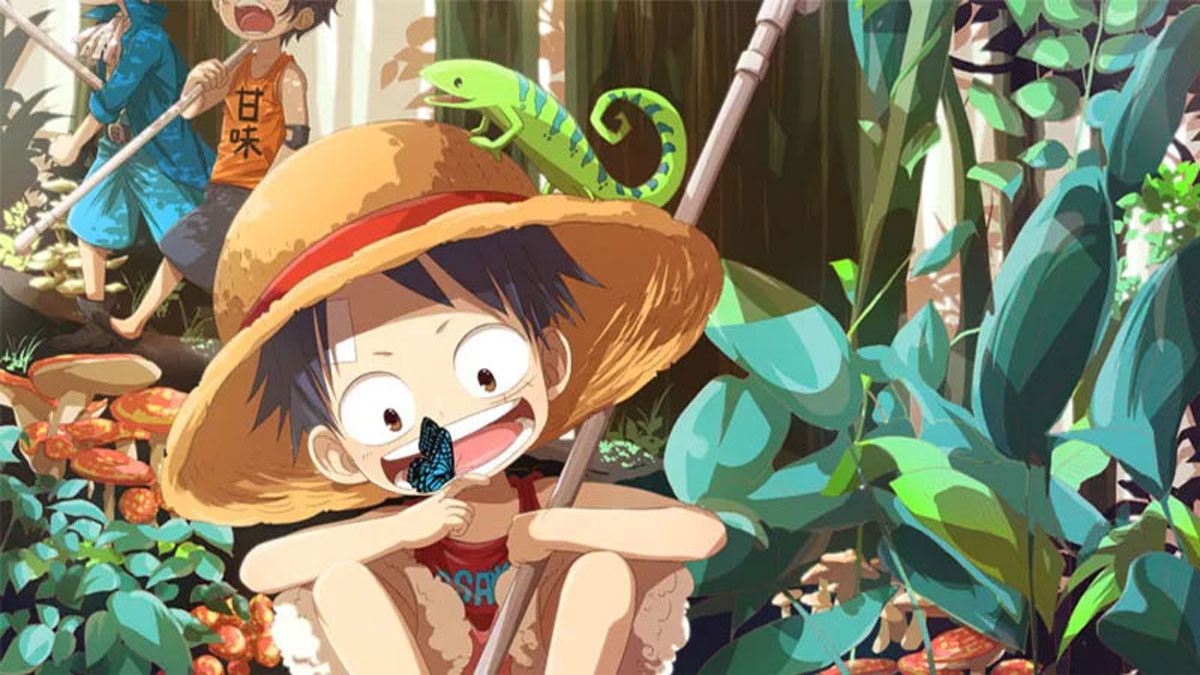 Giới thiệu về nhân vật Luffy
