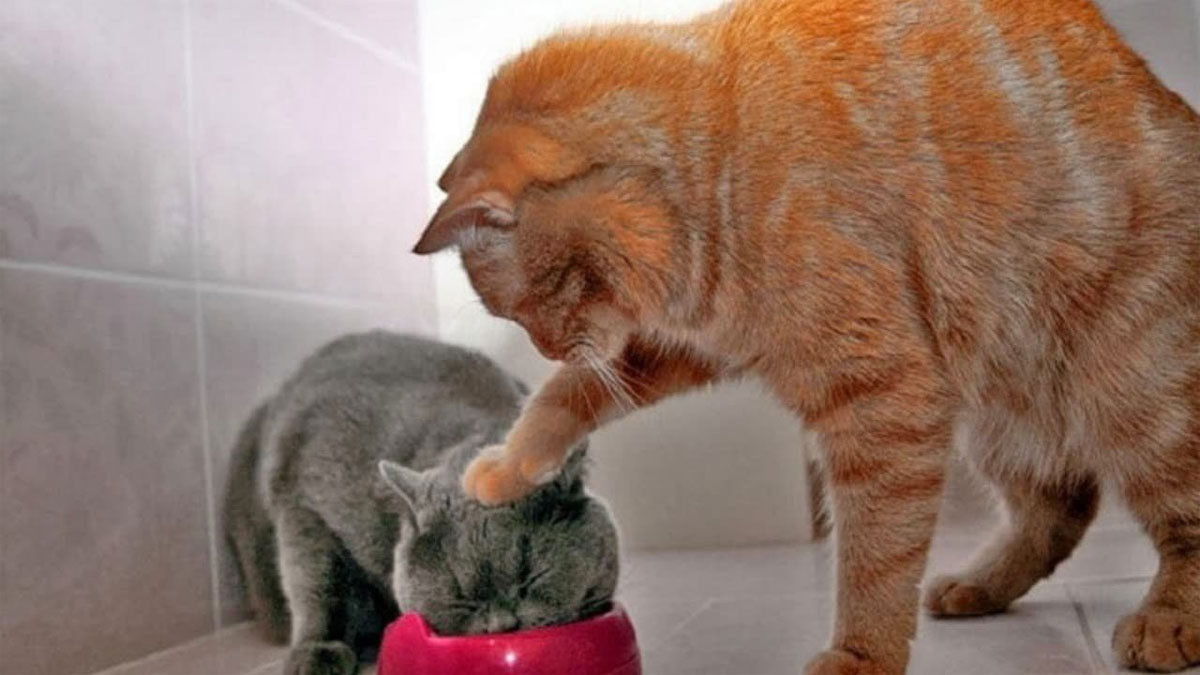 Hãy Khám Phá Một Thế Giới Khác Biệt