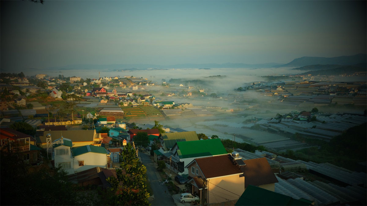 Hình ảnh buồn Đà Lạt 5
