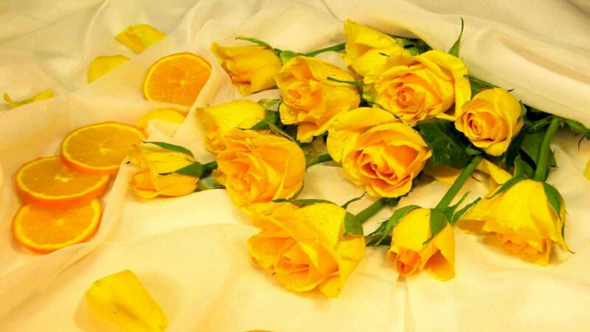 Hình ảnh hoa hồng có gai