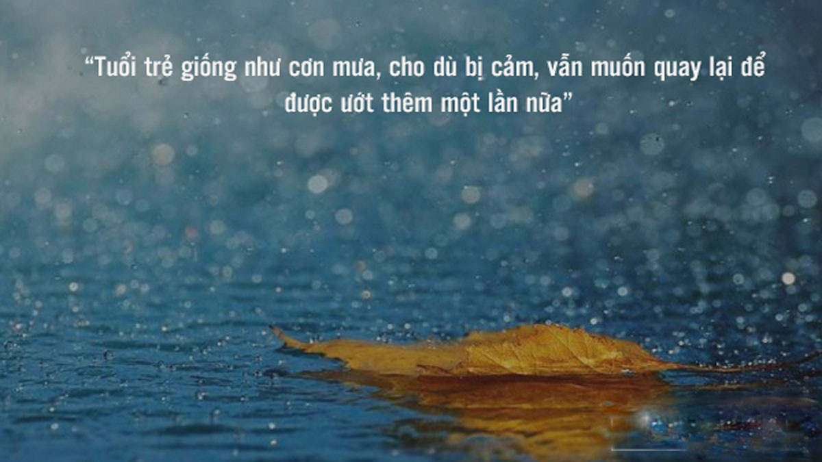 Hình ảnh mưa và ký ức