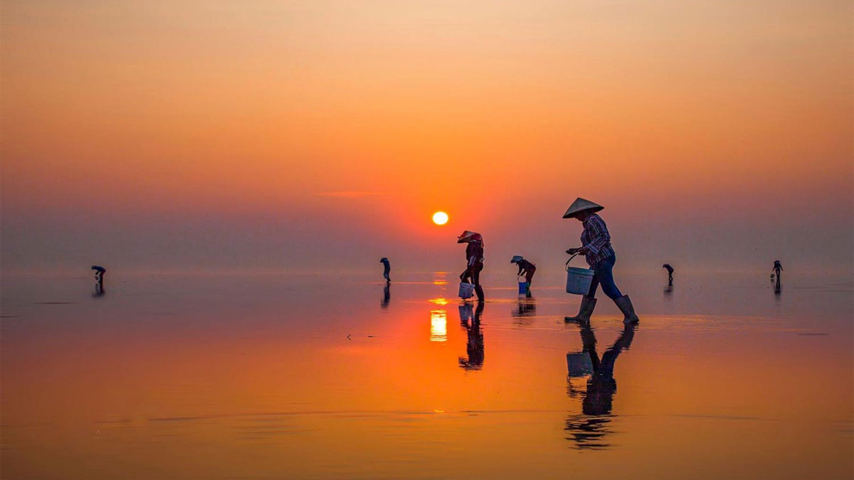 Hình ảnh ngư dân làm việc tại bãi biển