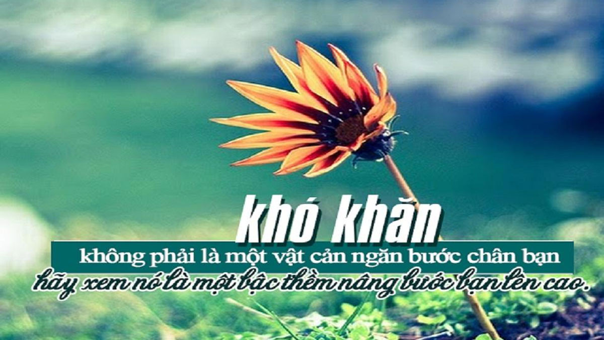 Hình buồn trưởng thành