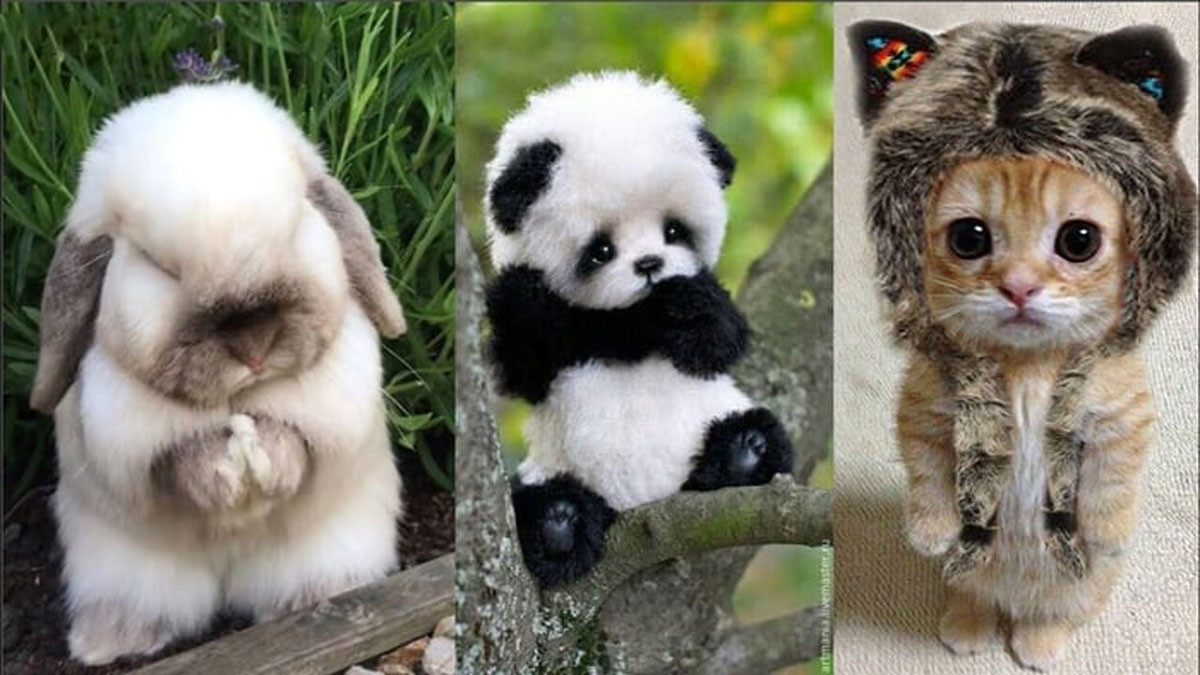 Hình nền cute động vật 1