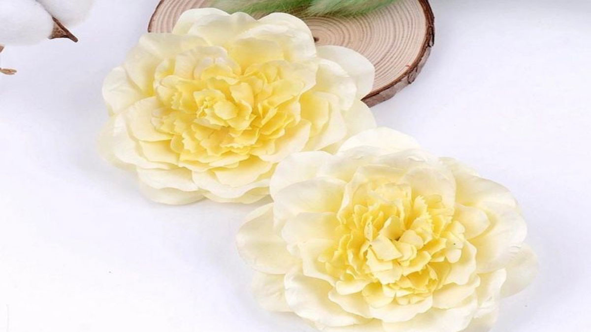 Hình nền hoa mẫu đơn màu vàng