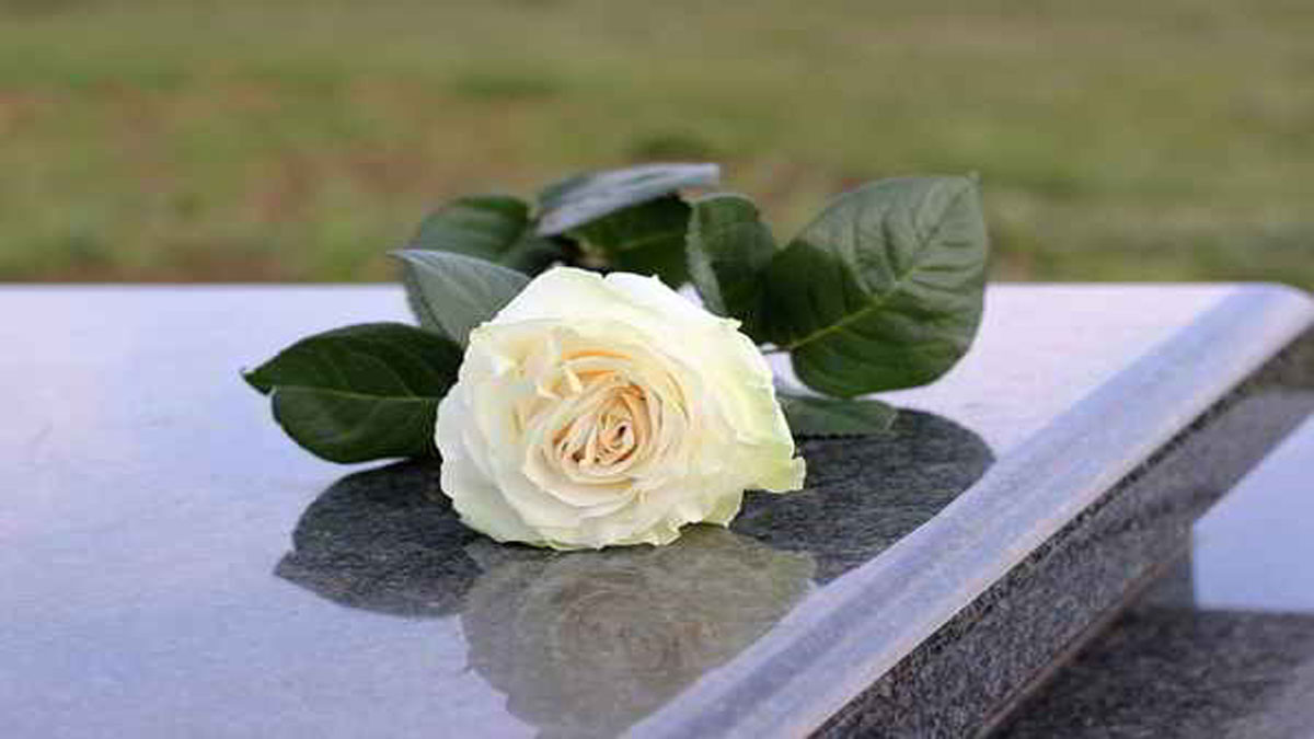Hoa trắng
