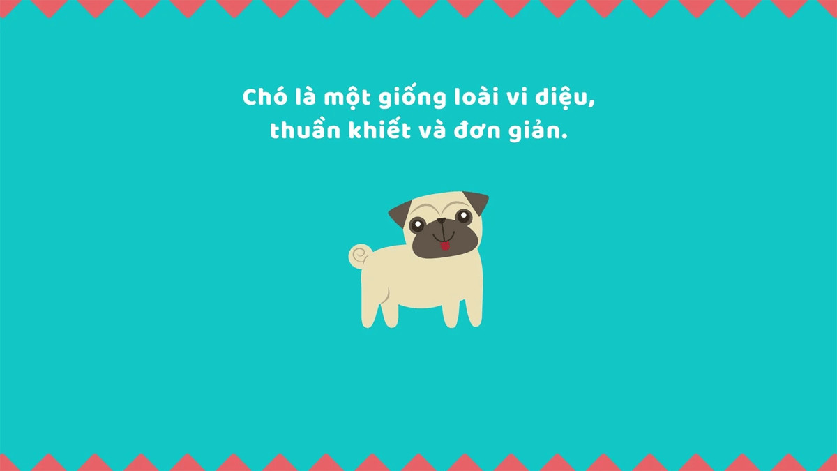 Khám Phá Bộ Ảnh Đại Diện Hài Hước