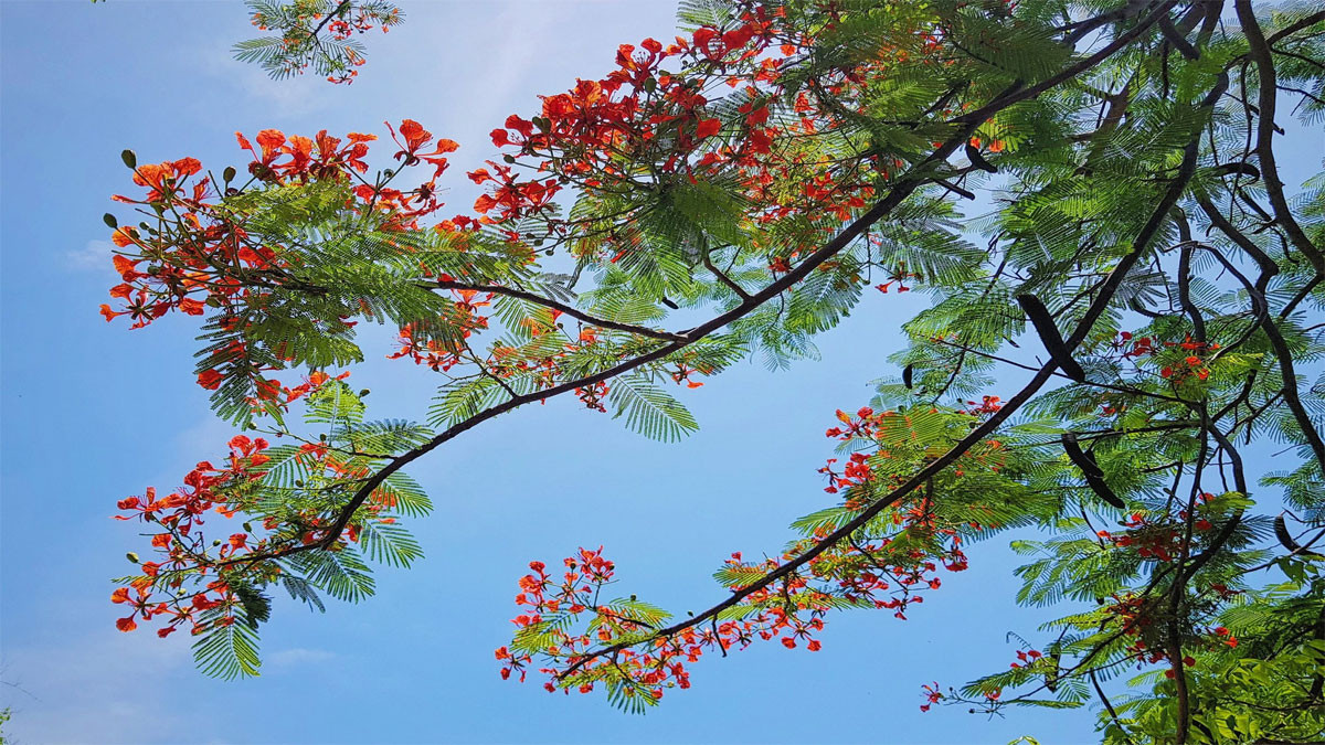 Khoảnh khắc giao mùa