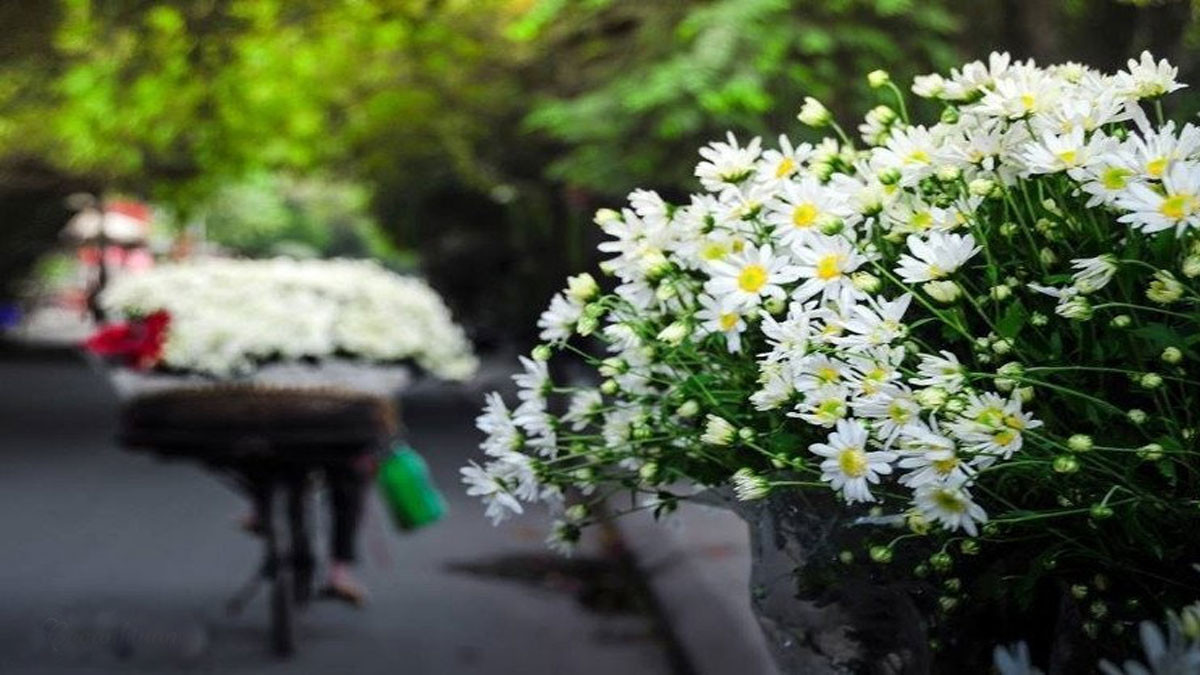 Khung cảnh Hà Nội đáng nhớ trong những ngày giá lạnh