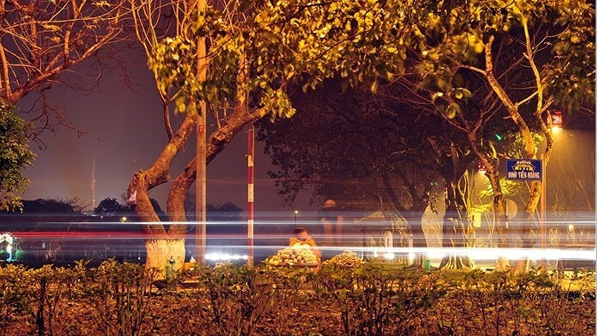 Khung cảnh yên bình vào ban đêm