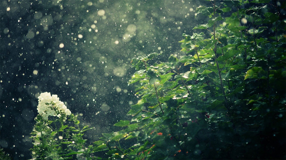 Ký ức xưa cũ