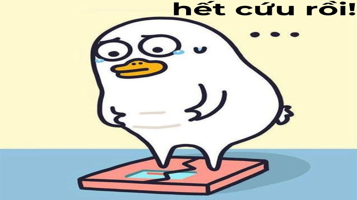 Meme hết cứu hài hước