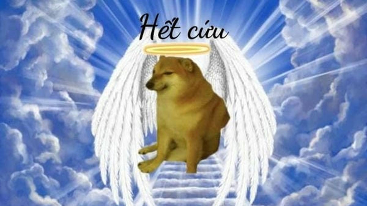 Meme hết cứu hài hước
