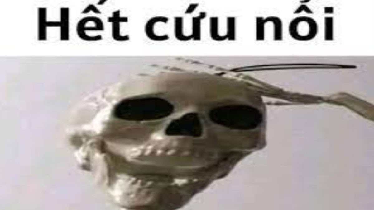 Meme hết cứu vui nhộn