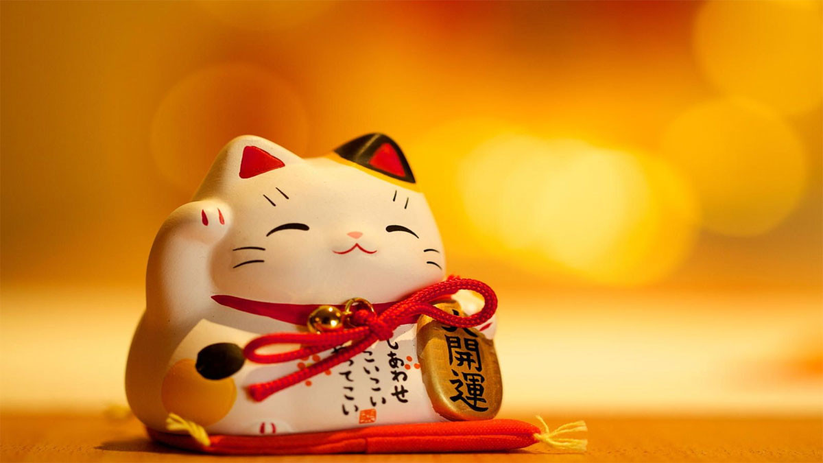 Mèo thần tài cute