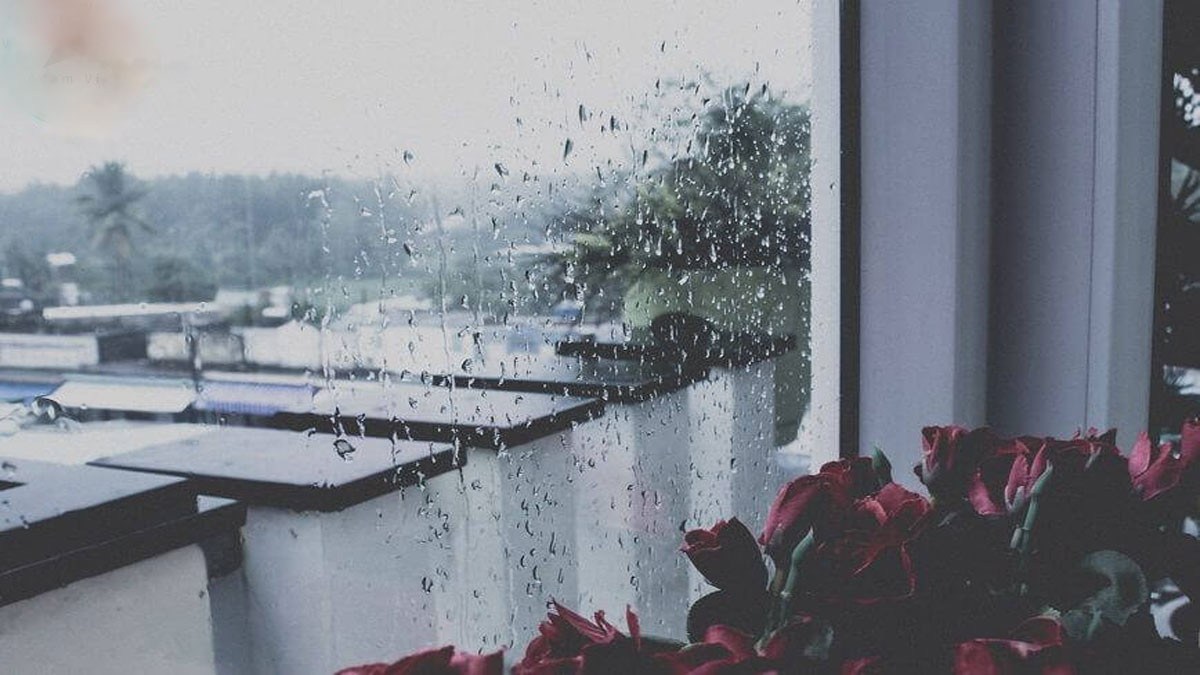 Mưa Đà Lạt che lối đi