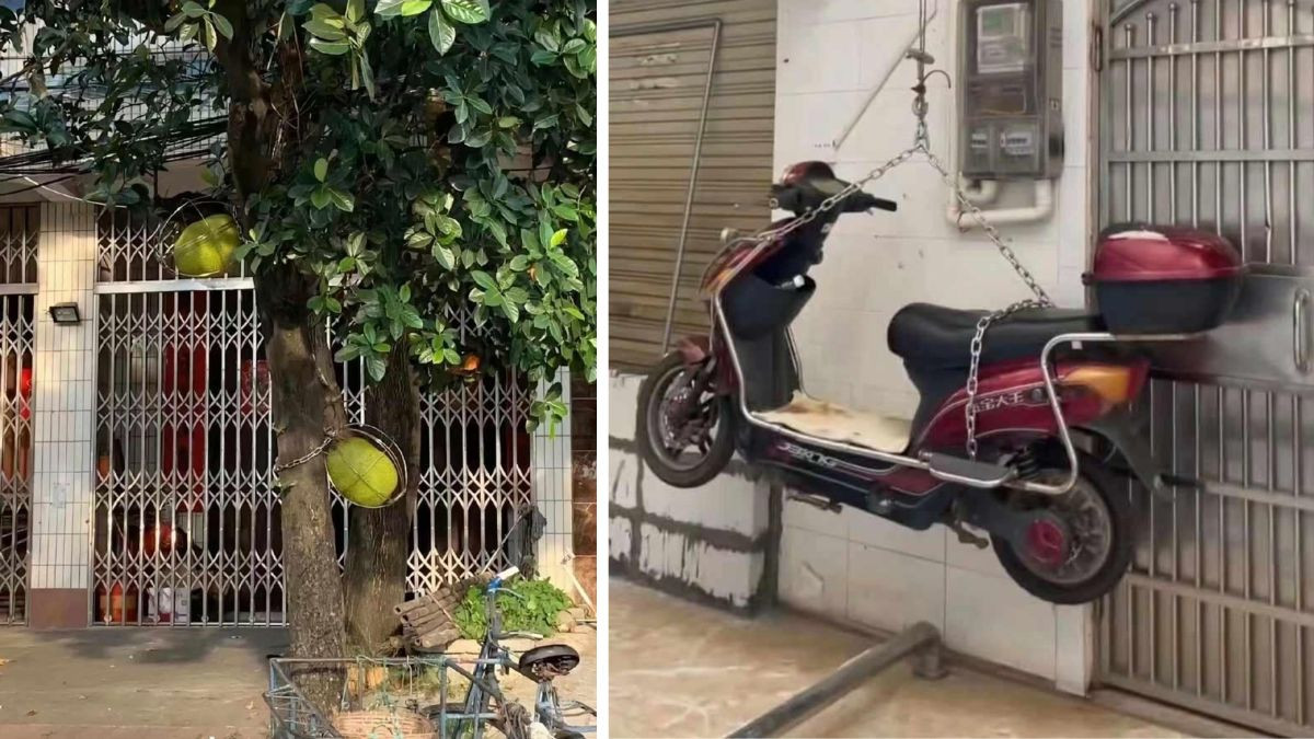 Người dân Hải Nam trong công tác khẩn cấp