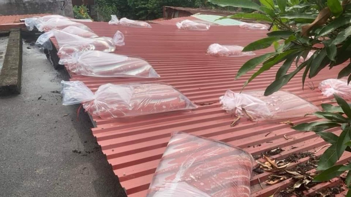 Người dân Hải Phòng ứng phó bão Yagi