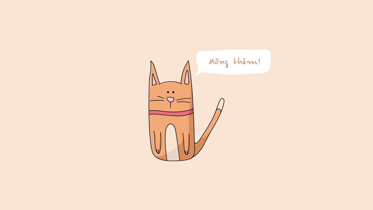 Sưu tập hình ảnh avatar hài hước