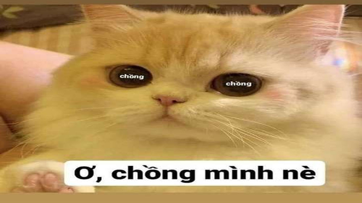Tăng tính cá nhân hóa với avatar hài hước