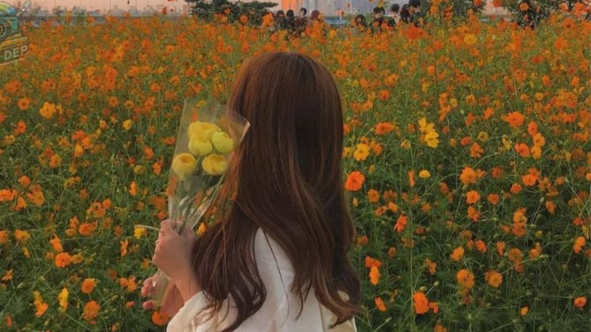 Vẻ đẹp bí ẩn qua hình ảnh